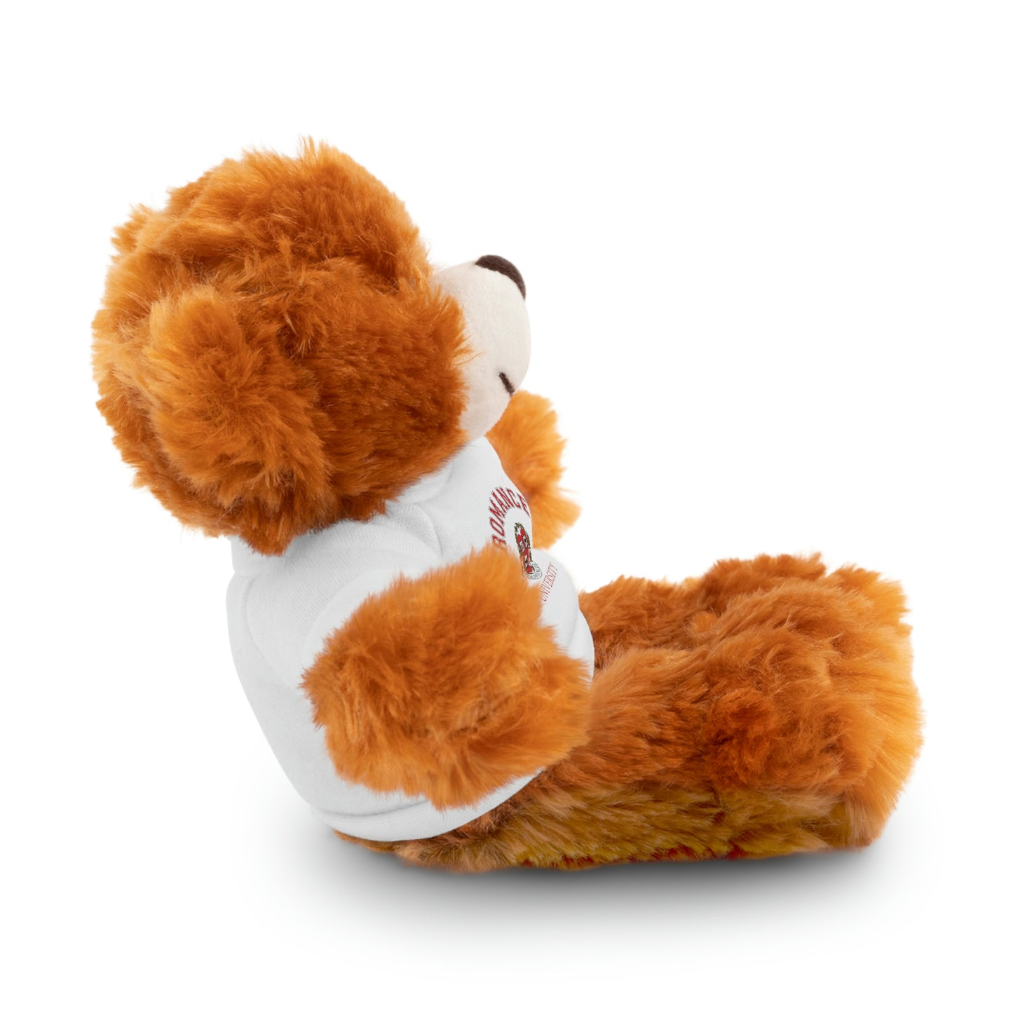 Benny The Bear!
