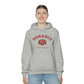 Romance University Hoodie