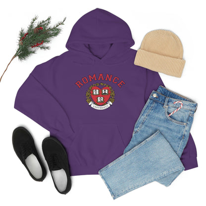 Romance University--Valentine's Day Hoodie