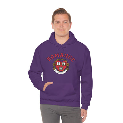 Romance University--Valentine's Day Hoodie
