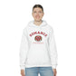 Romance University Hoodie