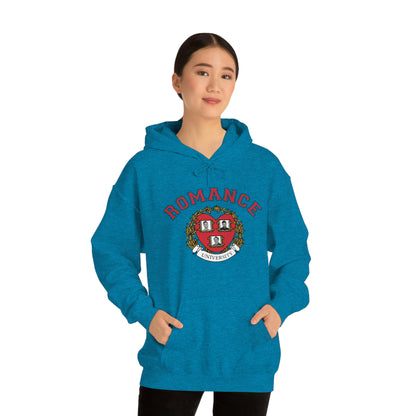 Romance University--Valentine's Day Hoodie