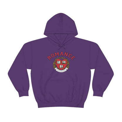 Romance University--Valentine's Day Hoodie
